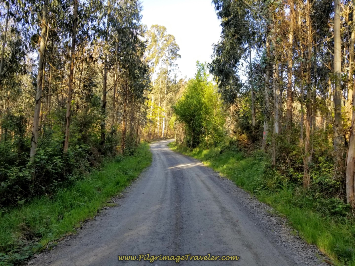 The Long Climb Begins on Gravel Road After Leiro on day six of the Camino Inglés