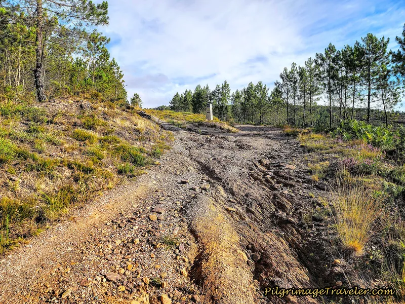 Stay Left and Onto the Ridge