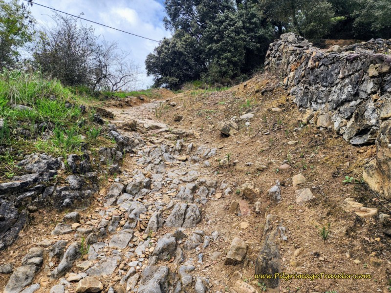 Steep Short Climb to the Hermitage Steep Short Climb to the Hermitage