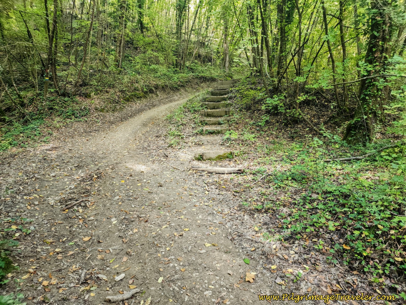 Interesting Steps Option Interesting Steps Option