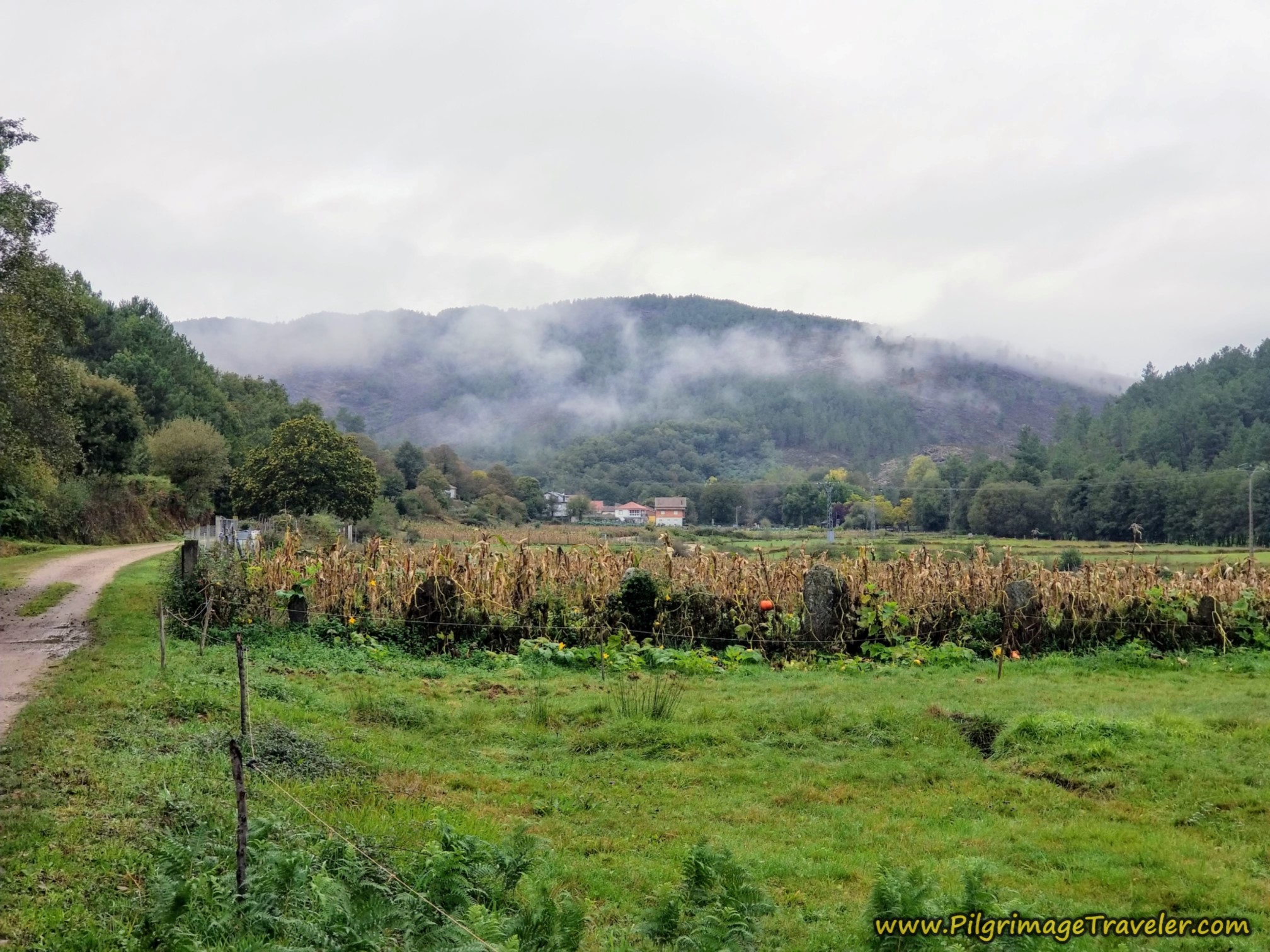 Tamicelas Ahead, Camino Sanabrés,  A Laza to Vilar de Barrio