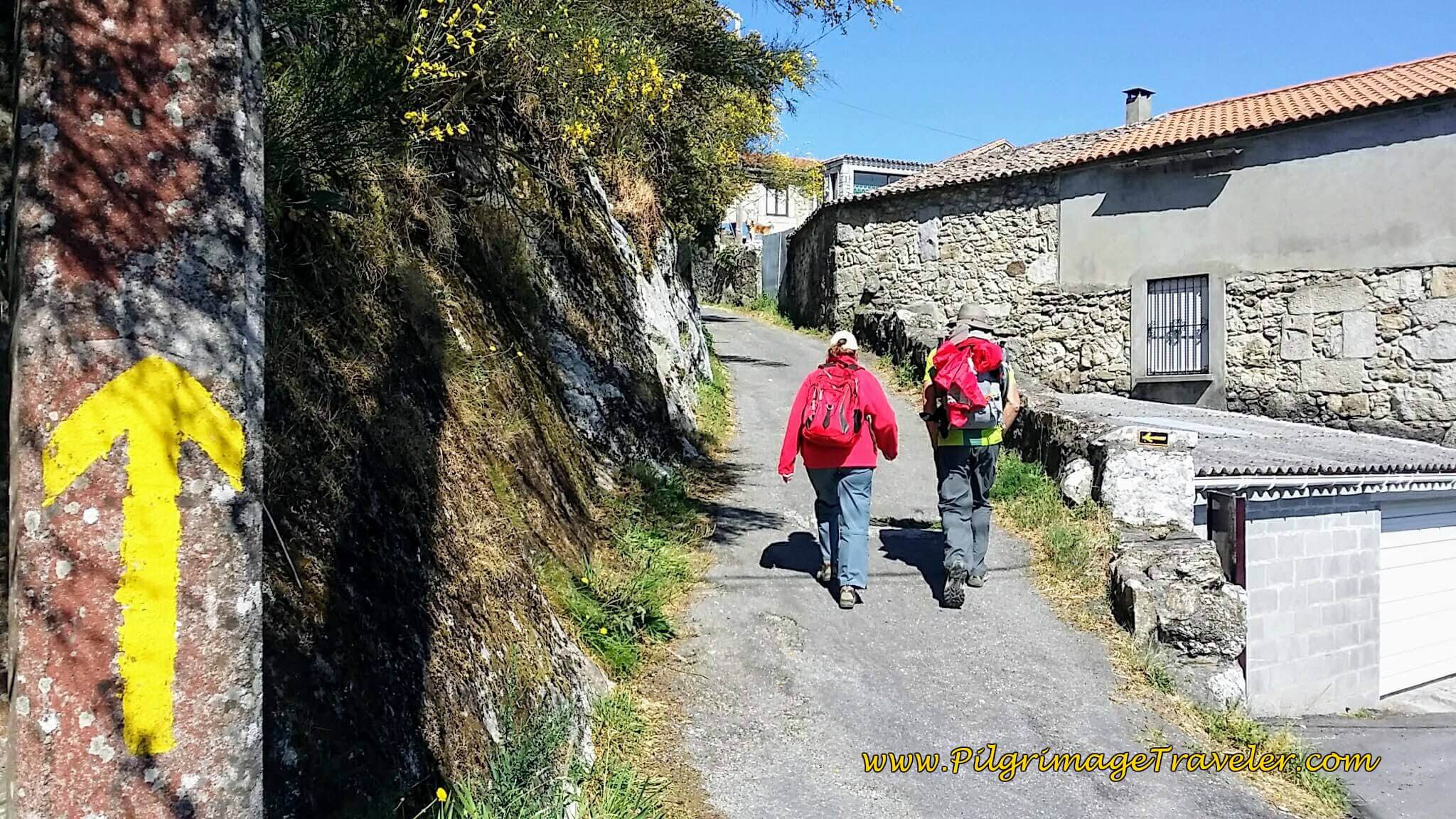Follow the Yellow Arrow on Day Nineteen of the Portuguese Way