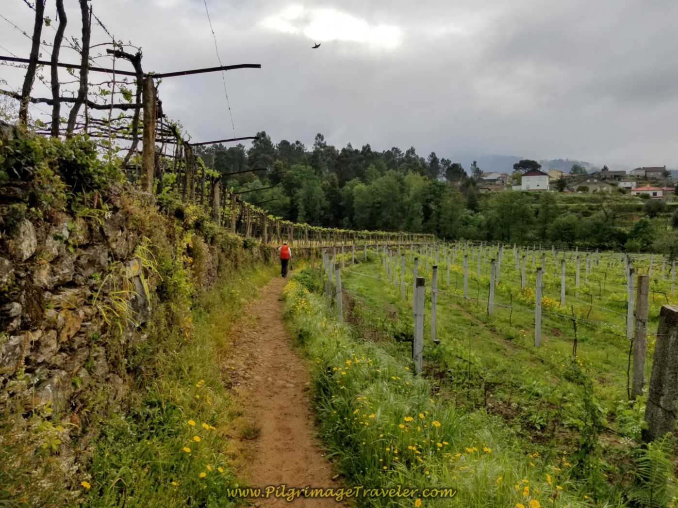 on day eighteen on the Central Route of the Portuguese Camino