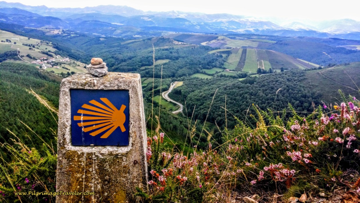 Waymark, Flowers and Sweeping Views on Day Five, Camino Primitivo, Hospitales Route