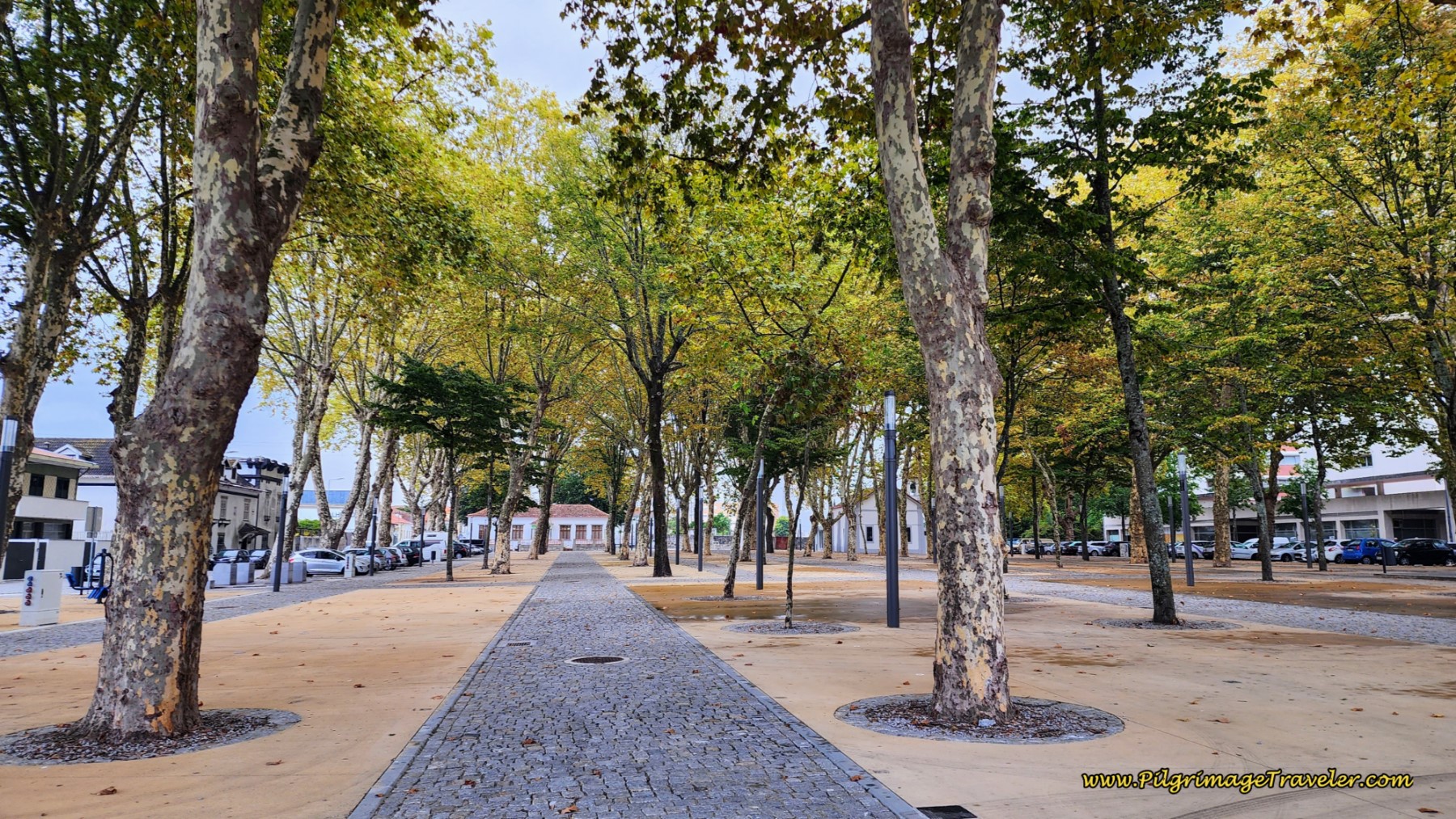 Park in Pedras Rubras