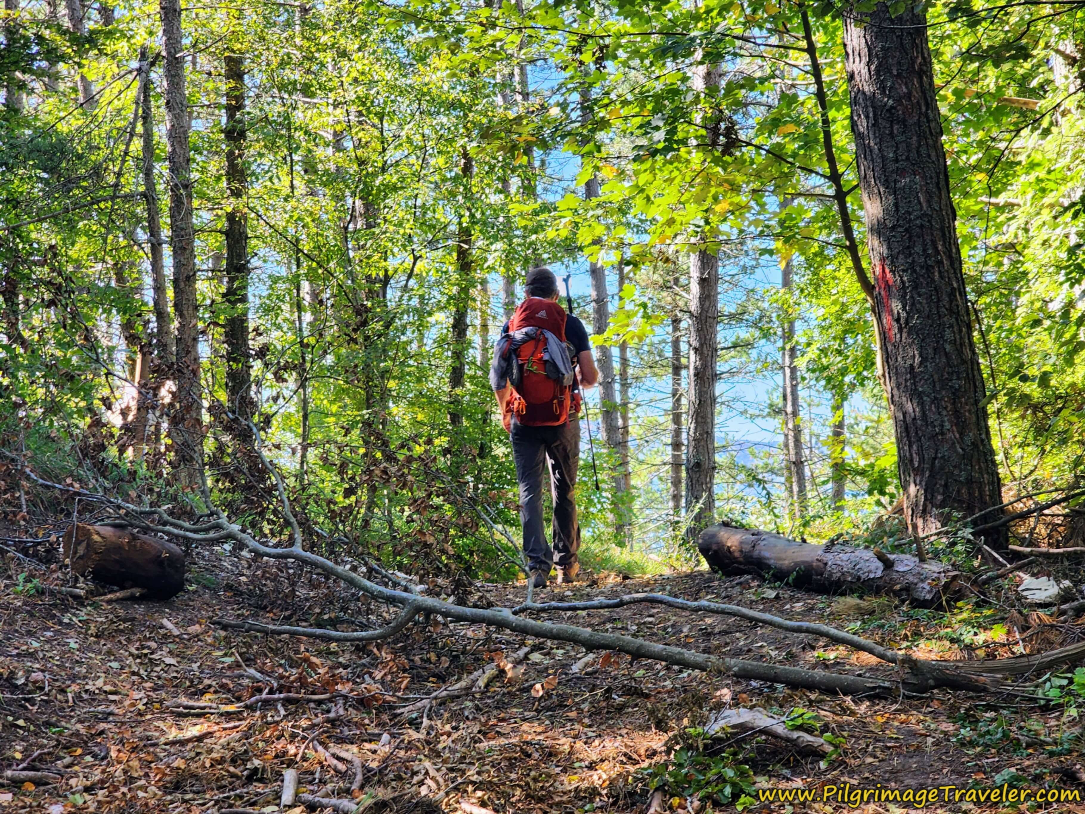 Rich Approaches the Second Altitude Top near the Monte Della Modina, on Day One on the Way of St. Francis from La Verna to Pieve Santo Stefano