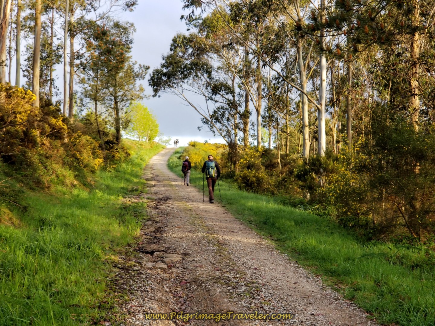 Road Towards Next Town of Hospital