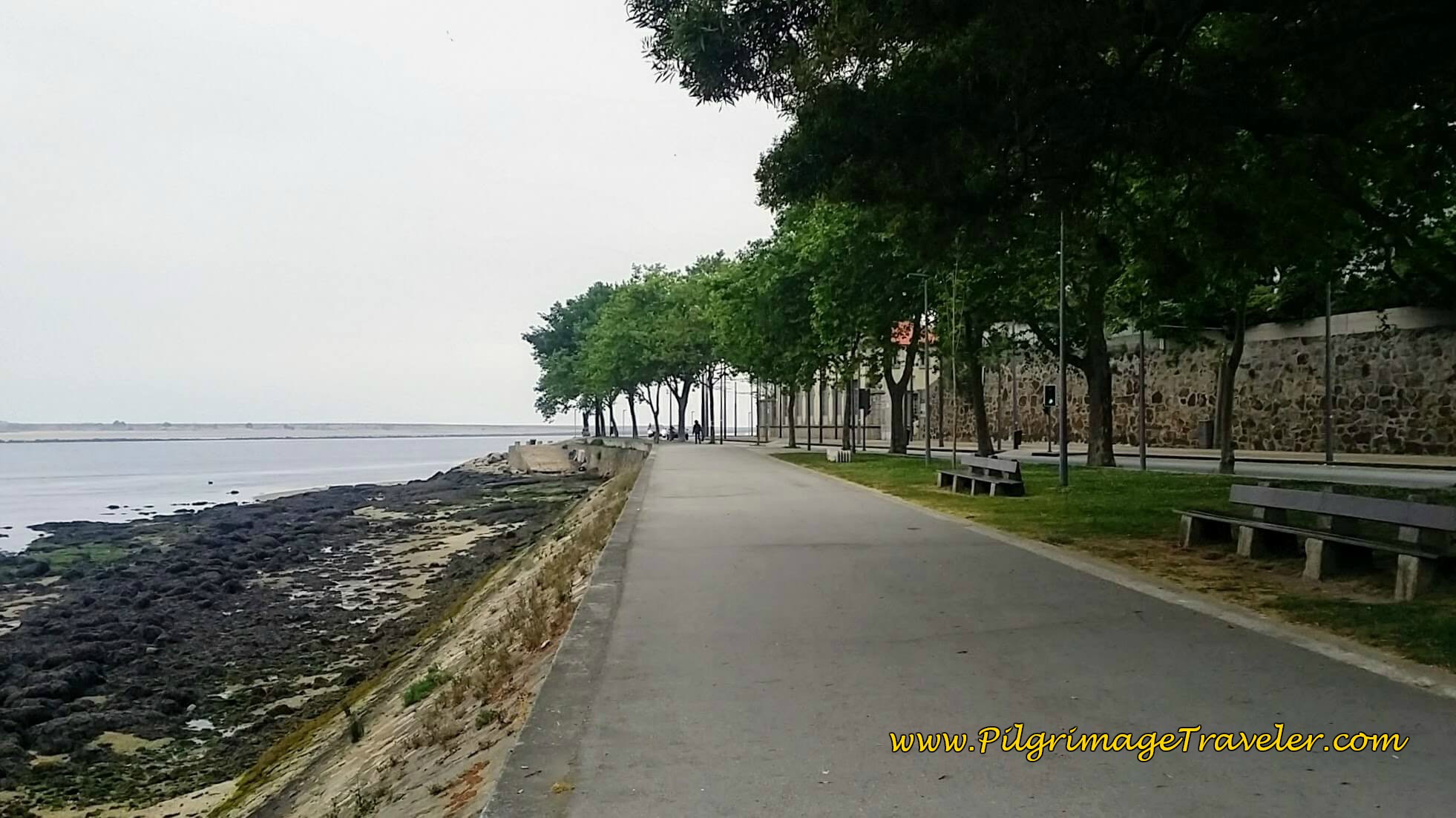 Tree-Lined Rua de Sobreiras, day fifteen of the Camino Portugués on the Senda Litoral
