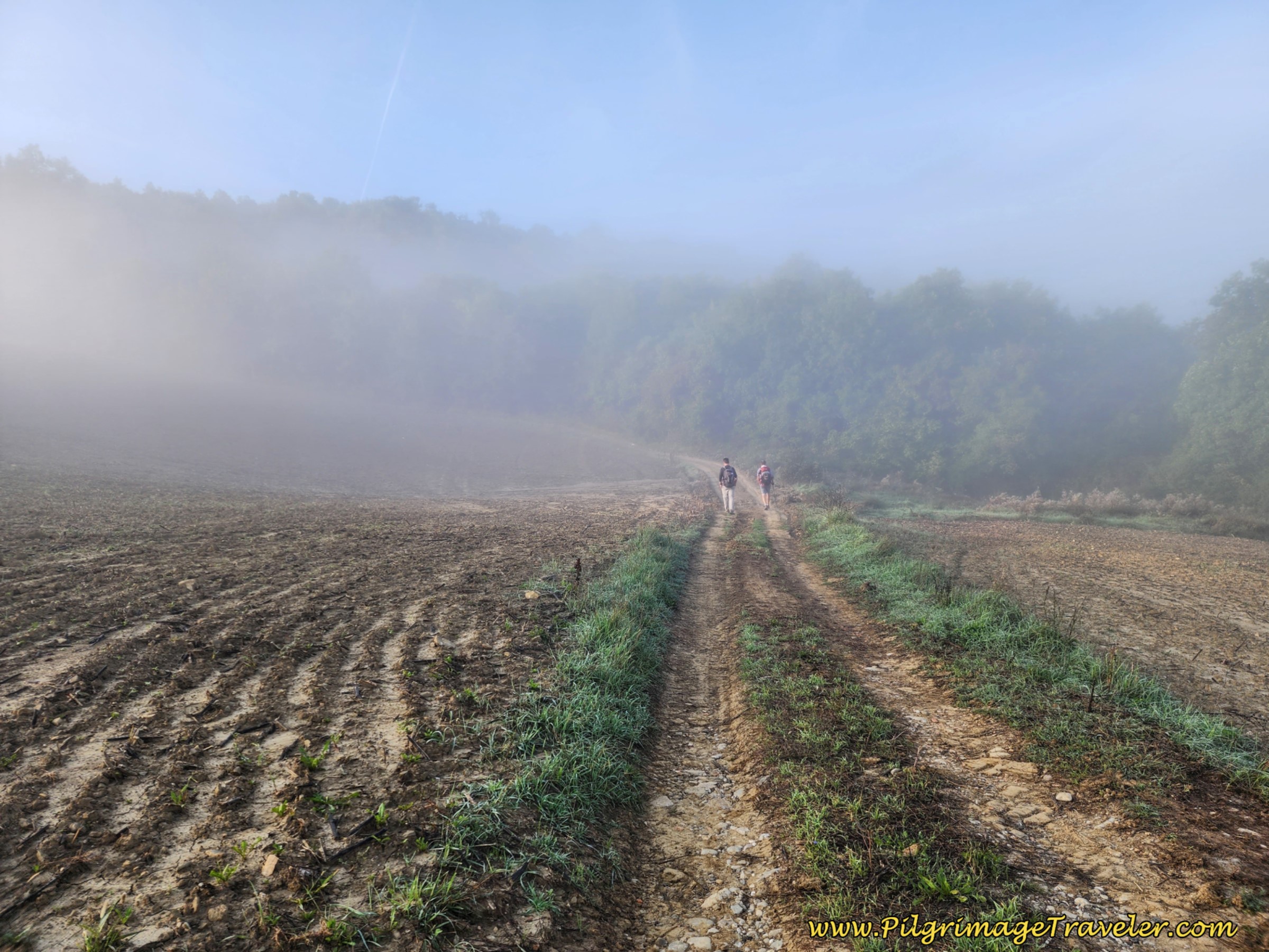 Climbing on Tractor Lane