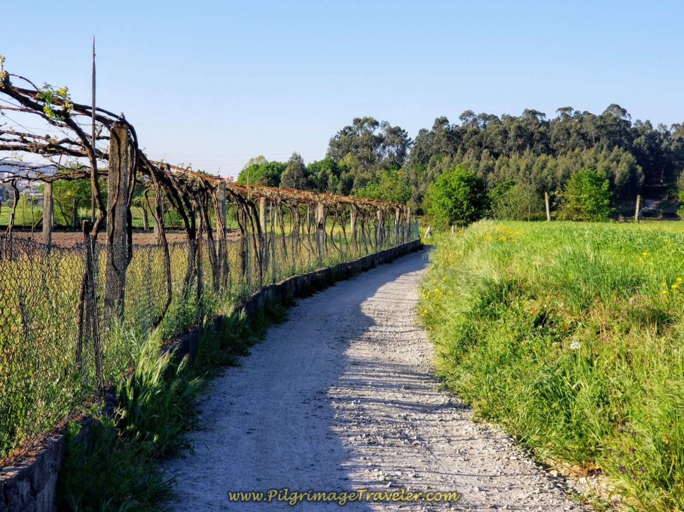 Country Charm on CM1048