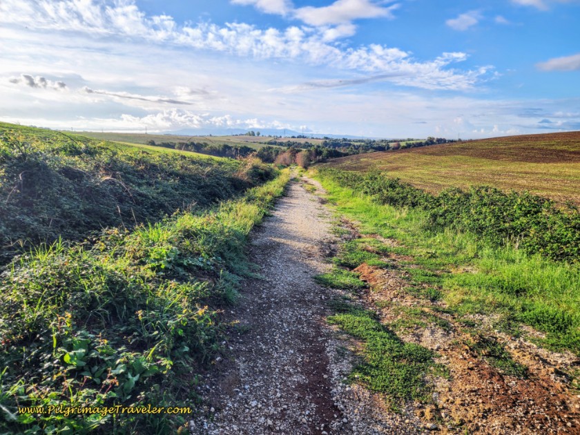 Way of St. Francis: Day Twenty-Two, Monterotondo to Monte Sacro - Descent on Rough Road Ahead