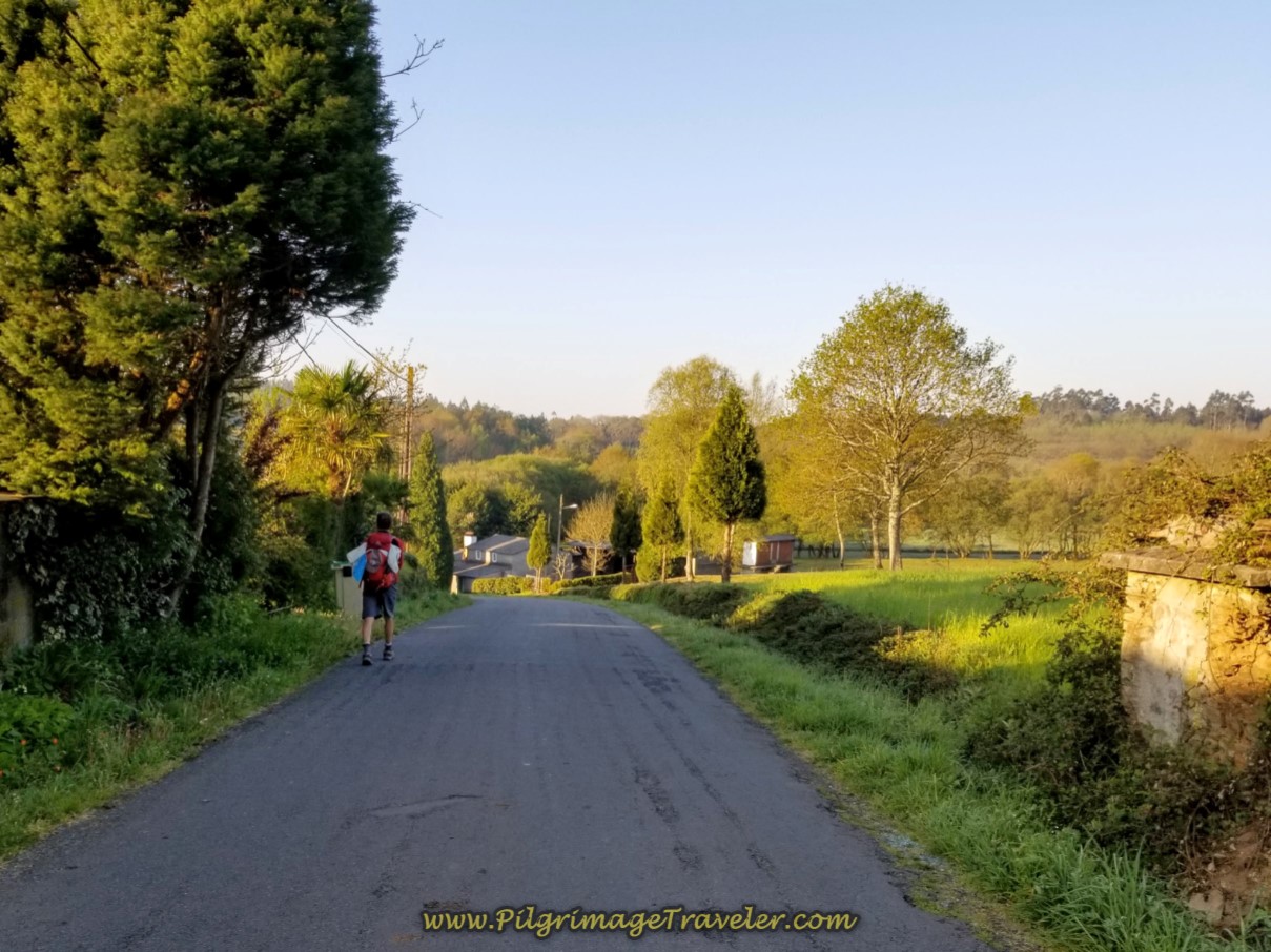 Nice Downhill Section after O Porto on day seven of the Camino Inglés