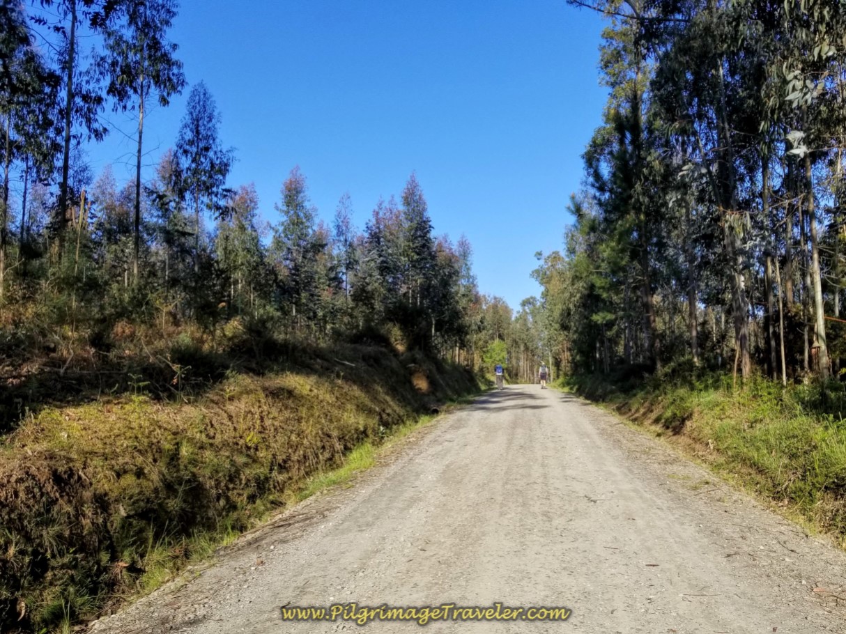 Long and Direct Current Route on the Gravel Road on day six of the Camino Inglés