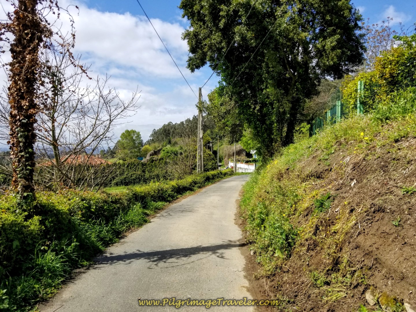 Flatter Rural Road on day three of the English Way