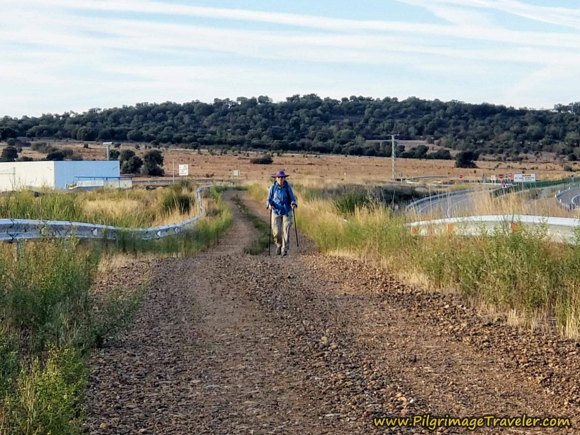 Look Back to Peregrina Nadine