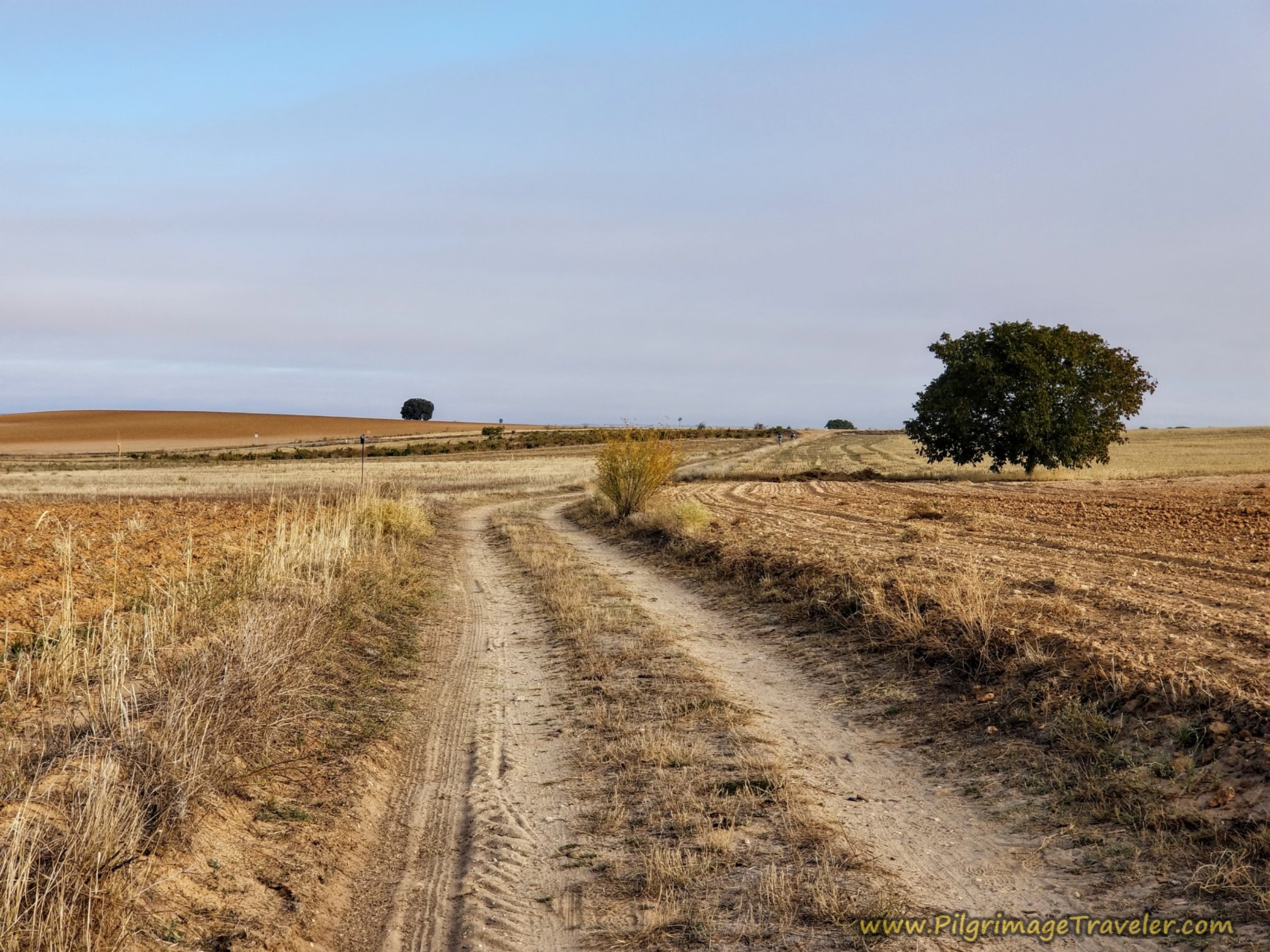 More open road on the Vía de la Plata from Villanueva de Campeán  to Zamora More open road on the Vía de la Plata from Villanueva de Campeán  to Zamora