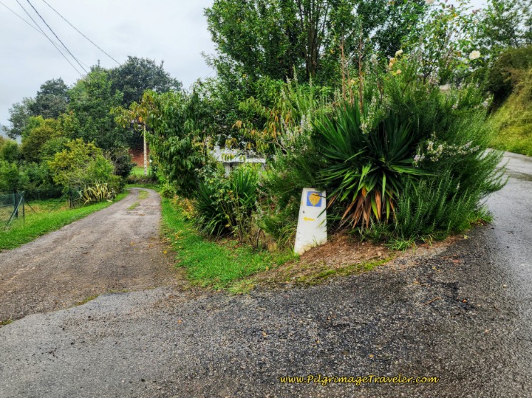 Pick Up Dirt Lane to the Left