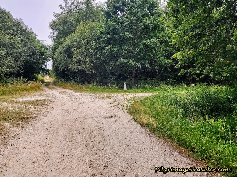 Right Turn onto Another Farm Lane