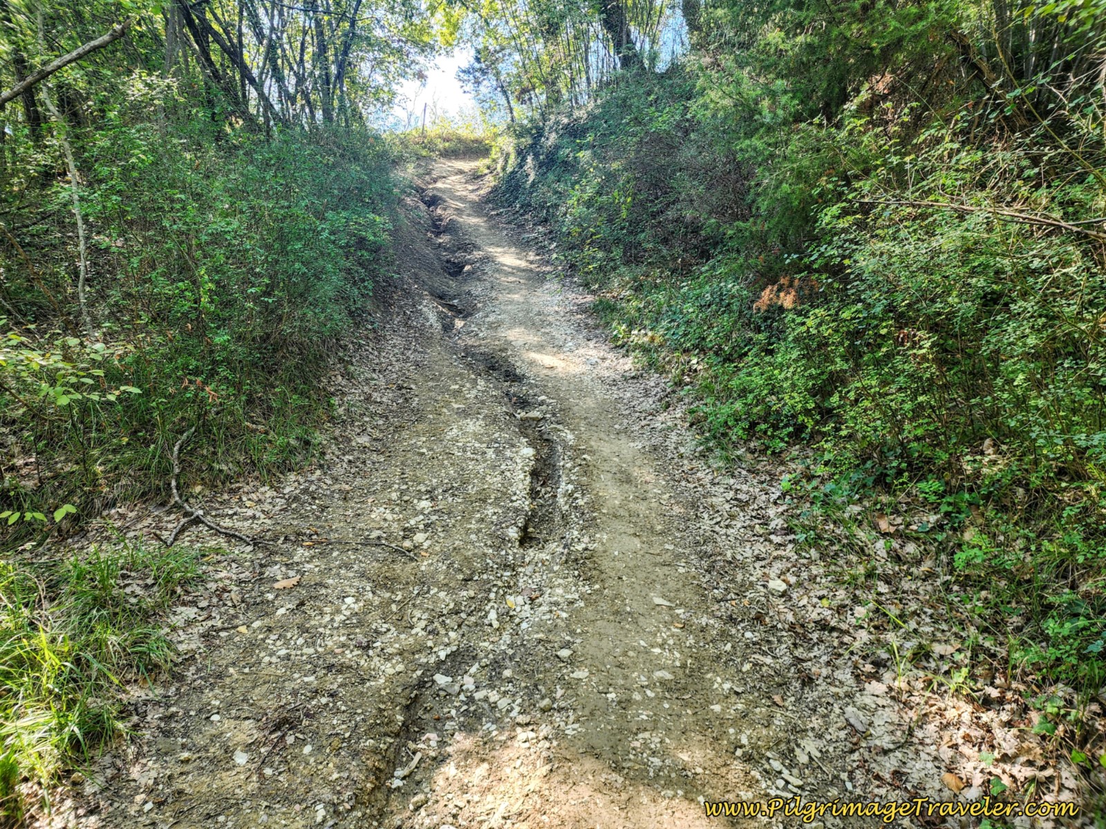 Steeper Climb with Ruts Steeper Climb with Ruts