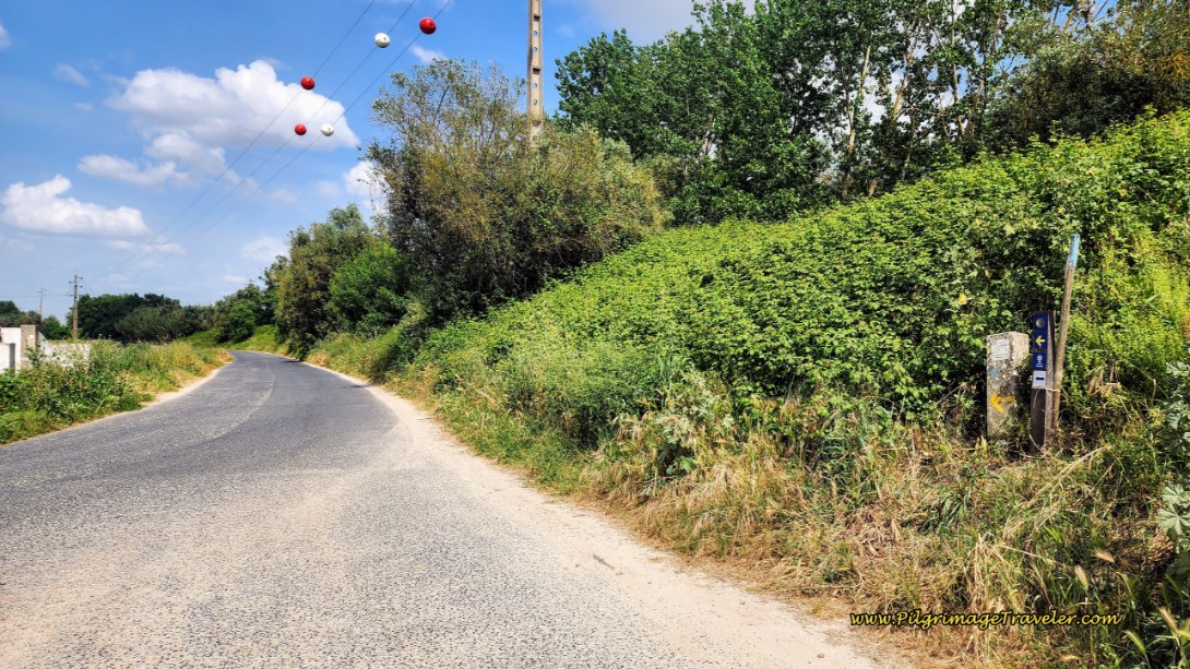 Turn Left to Stay on the N3-3