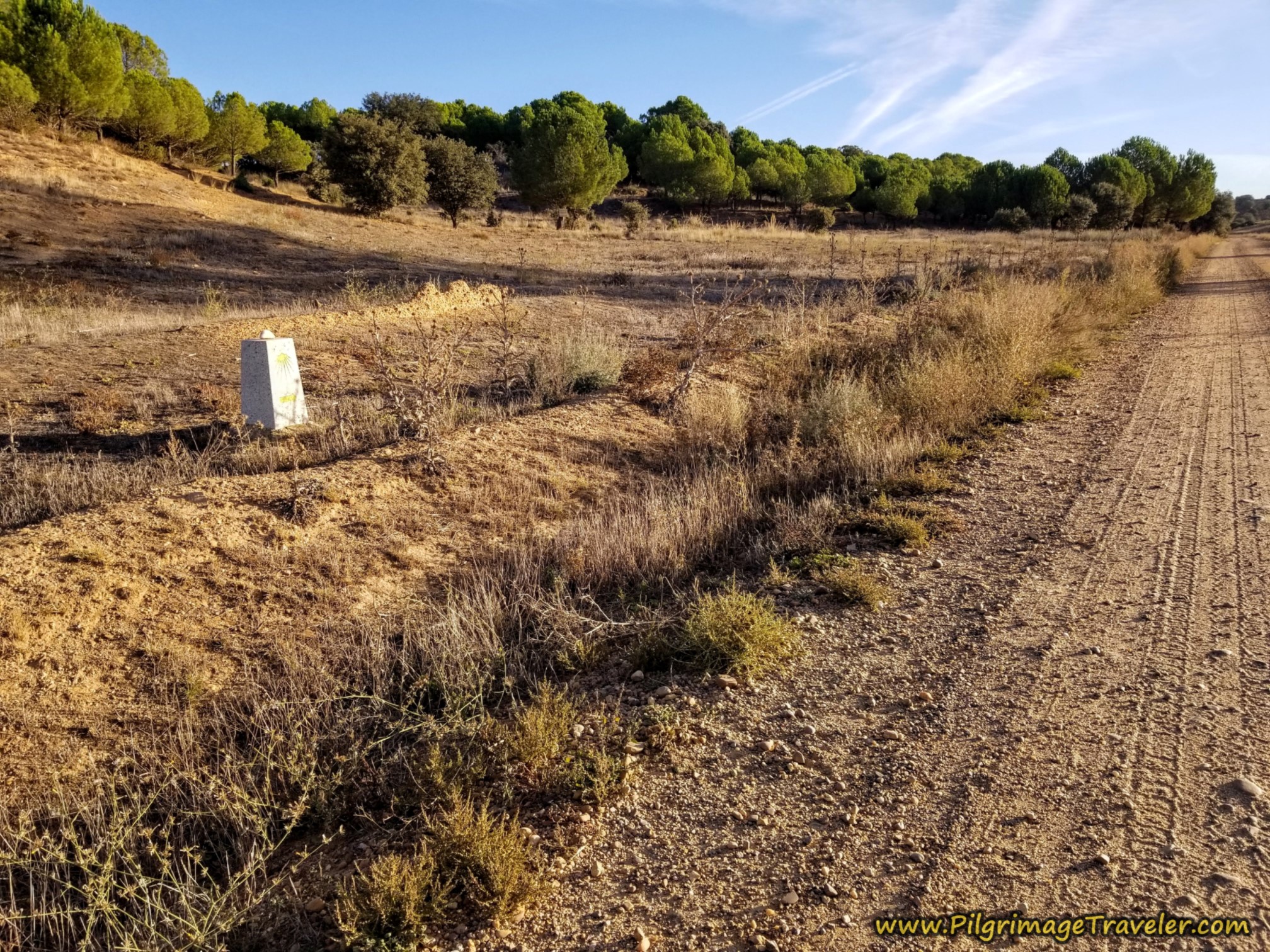 Waymark Back to Main Camino