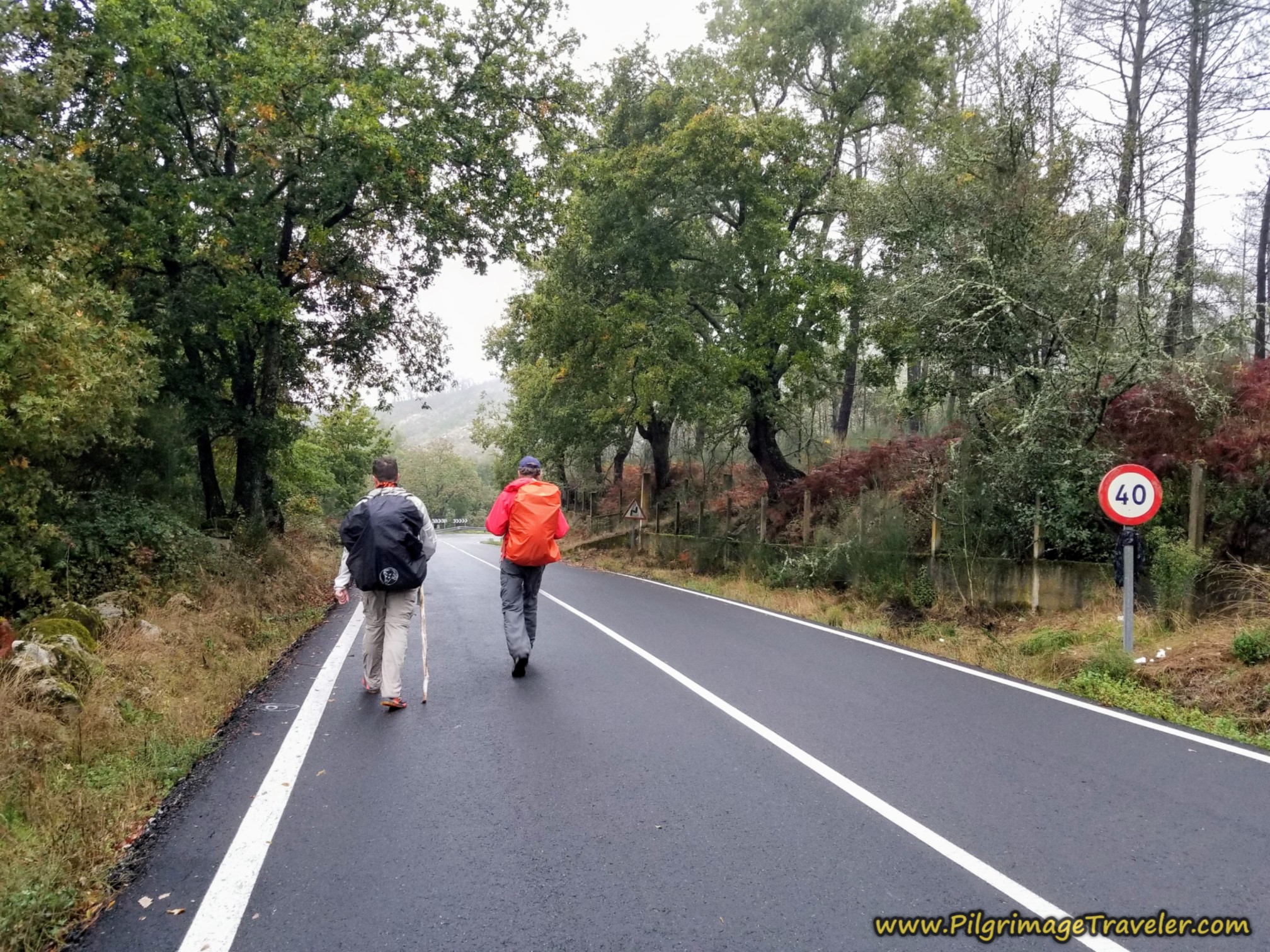 Wooded Walk Along the OU-0102 Towards Gaspar