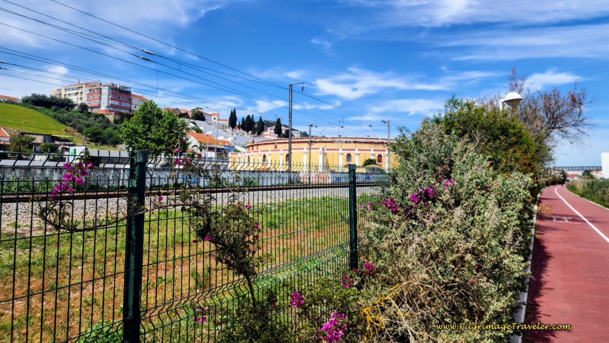 Pass Portuguese Bull-Fighting Ring