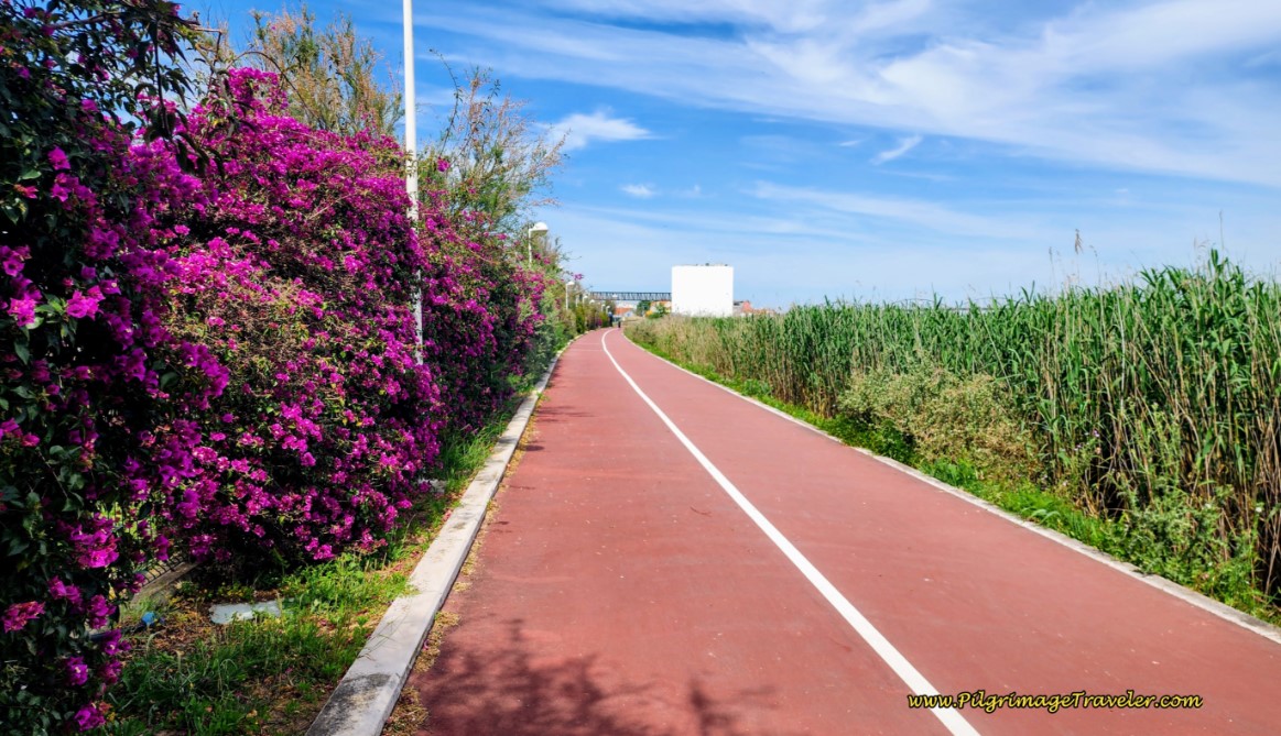 The Caminho Pedronal Ribeirinho Continues