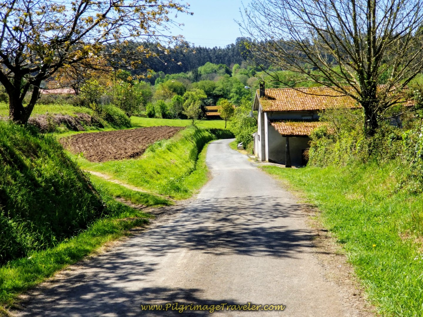Downhill Reprieve on Quiet Country Lane on day five of the Camino Inglés