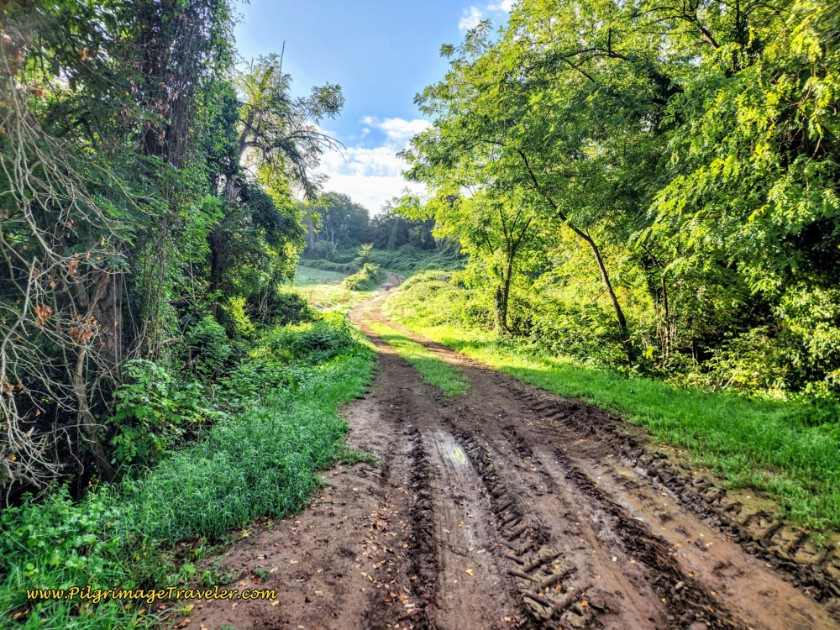 Way of St. Francis: Day Twenty-Two, Monterotondo to Monte Sacro - Muddy Bottom of the Drainage