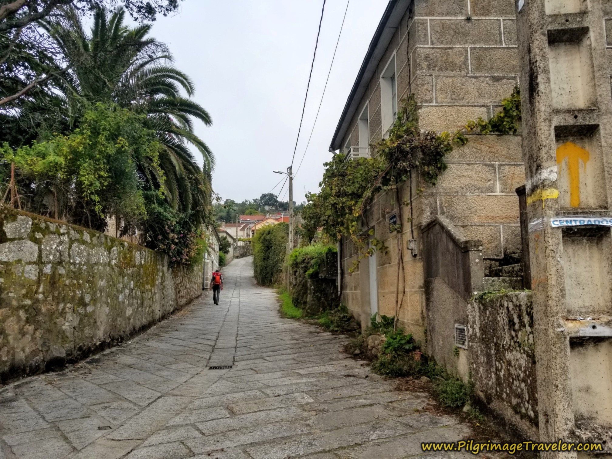 Climbing on the Narrow Streets