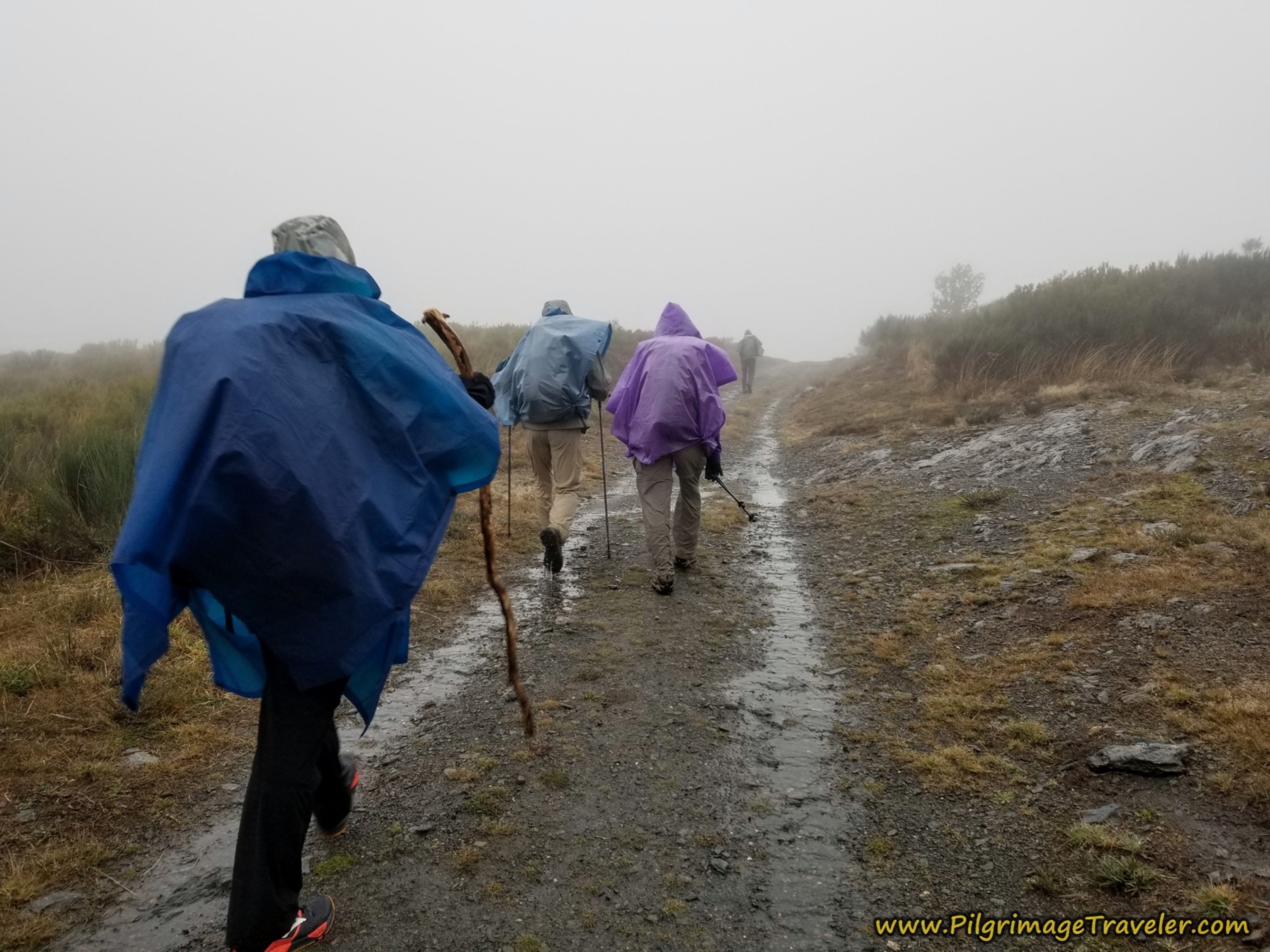 Lane Exiting A Venda da Teresa