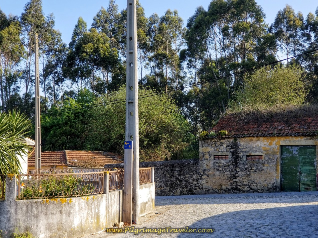 Left Turn Here onto M525 in Santagões on day sixteen of the Central Route of the Camino Portugués