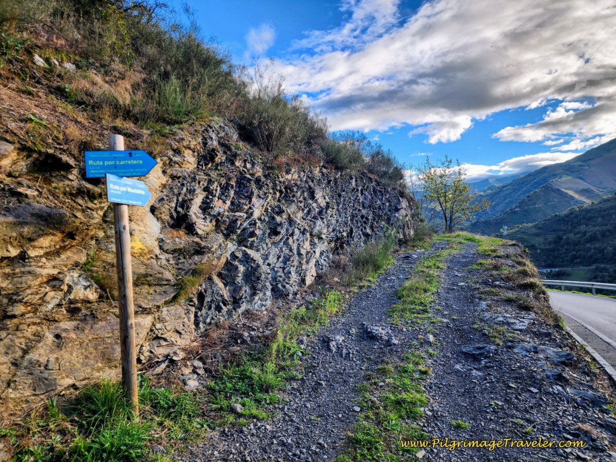 Munistiriu Route Leaves the LE-12 Here