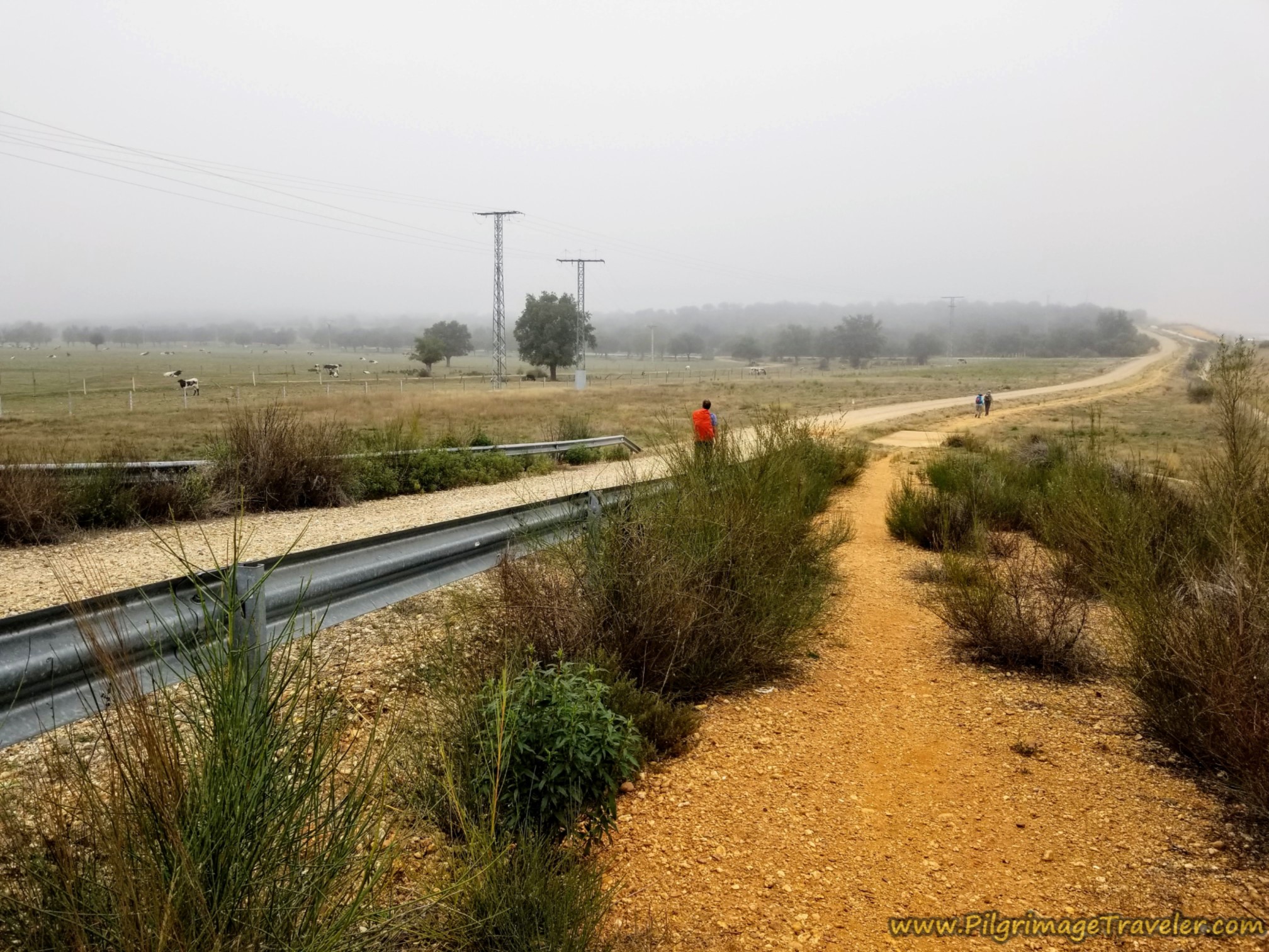 Slight Changes in Terrain