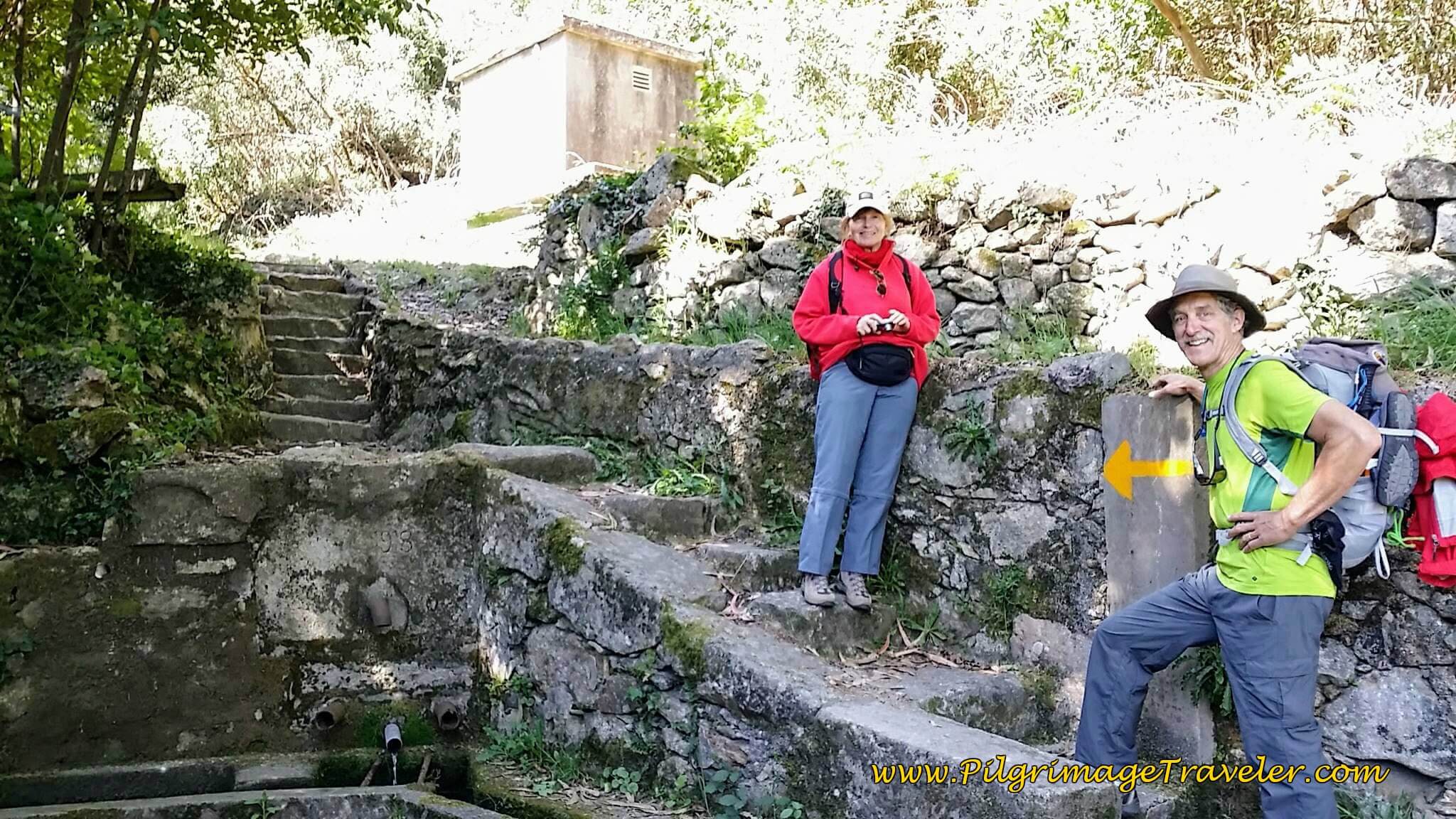An Old Well in the Forest on Day Nineteen of the Portuguese Way