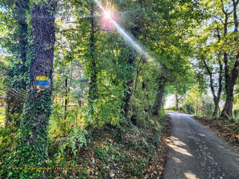 Way of St. Francis: Day Seventeen, Piediluco to Poggio Bustone - Paved Country Road