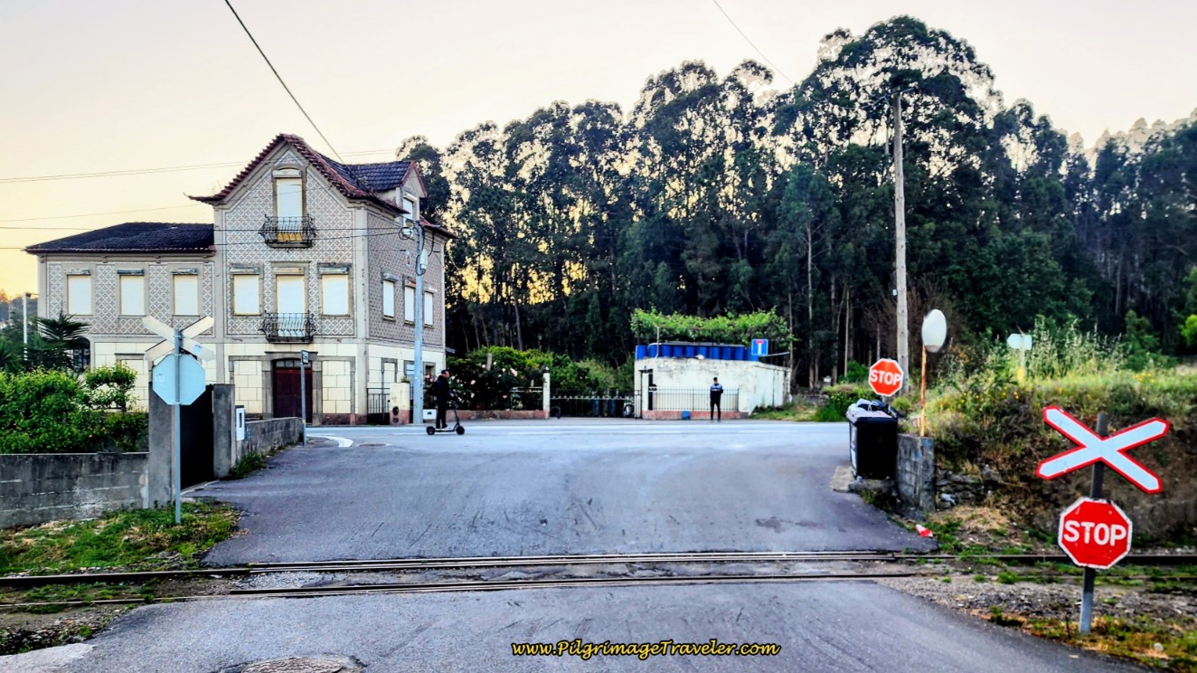 Railroad Tracks by the N1 on day thirteen on the Camino Portugués