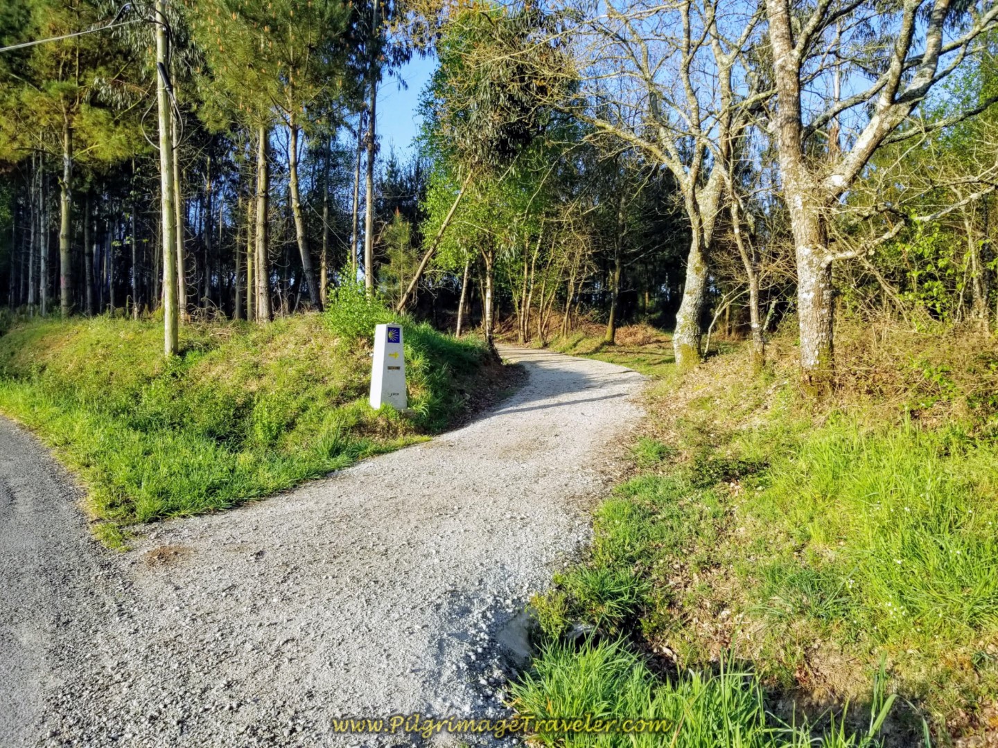 Right Turn Off Pavement in A Carballeira on day seven of the Camino Inglés