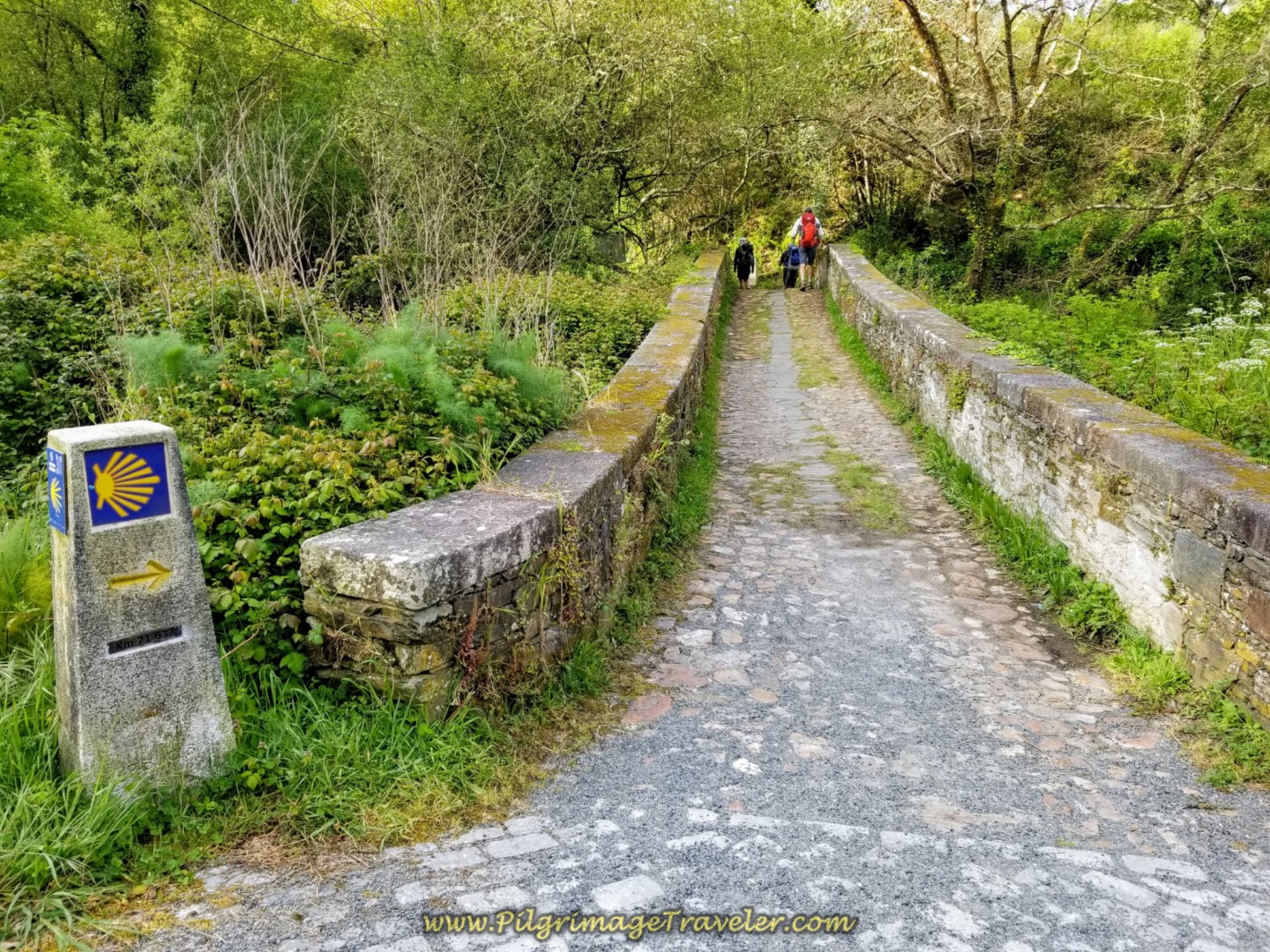Ancient Road Across the Río Lambre on day four of the Camino Inglés