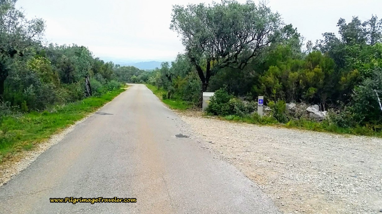 Turn Right Here off CM1063 Onto Gravel Lane