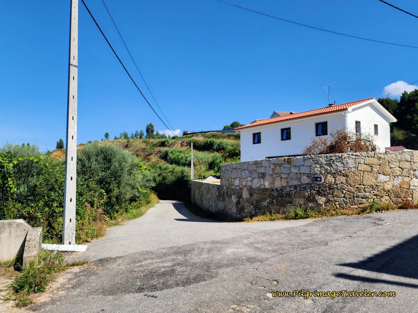 Side Road Through Fields