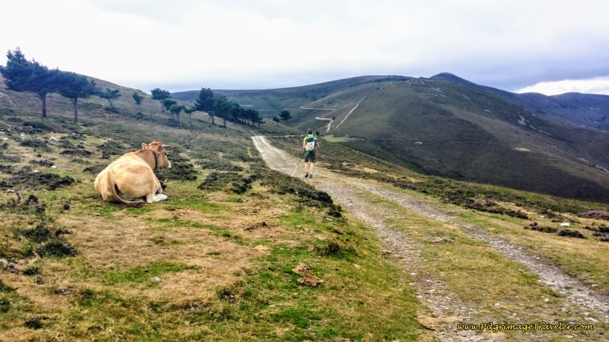 Toward the First Hospital 
