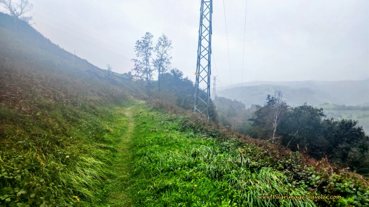 Heavy Wind, Rain and Fog at Top