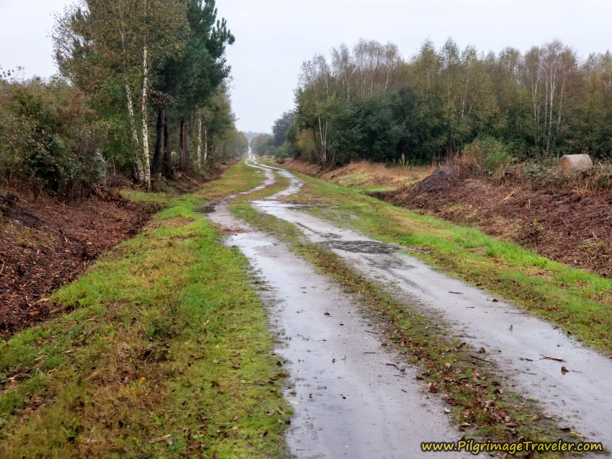The Wet Way Ahead, Camino Sanabrés, Vilar de Barrio to Xunqueira de Ambía