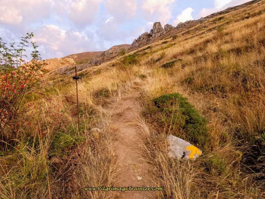 Electric Cattle Guard and Painted Yellow Arrow