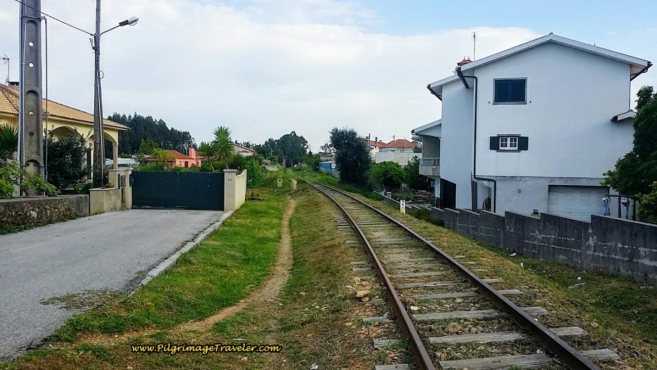 Path Along the Railroad Track