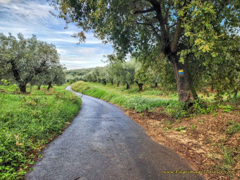 Way of St. Francis: Day Twenty-One, Ponticelli to Monterotondo - Idyllic Country Lane Walk