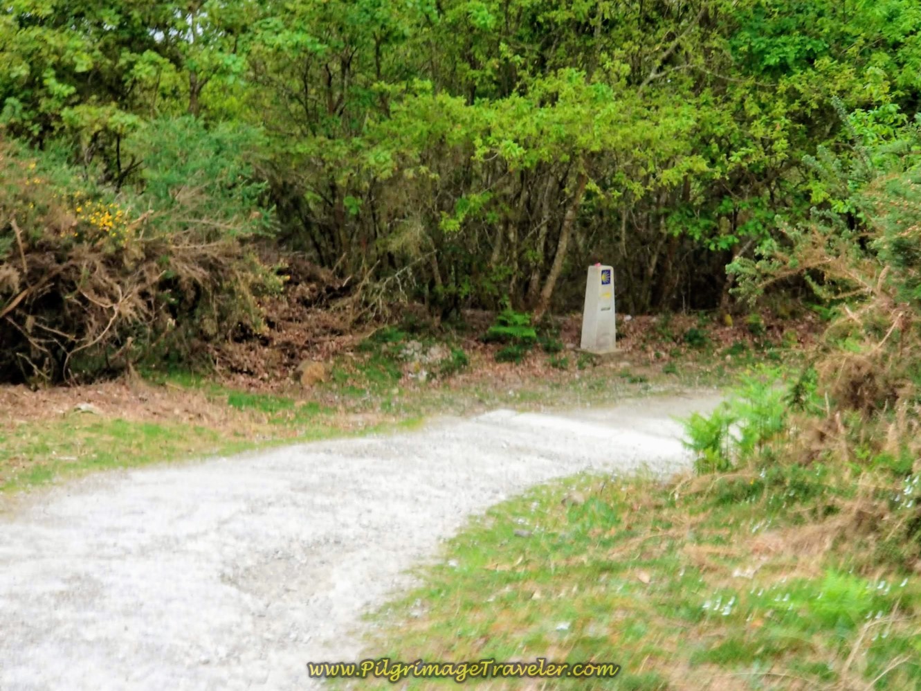Kilometer Waymarker Through Forest on day one Camino Finisterre