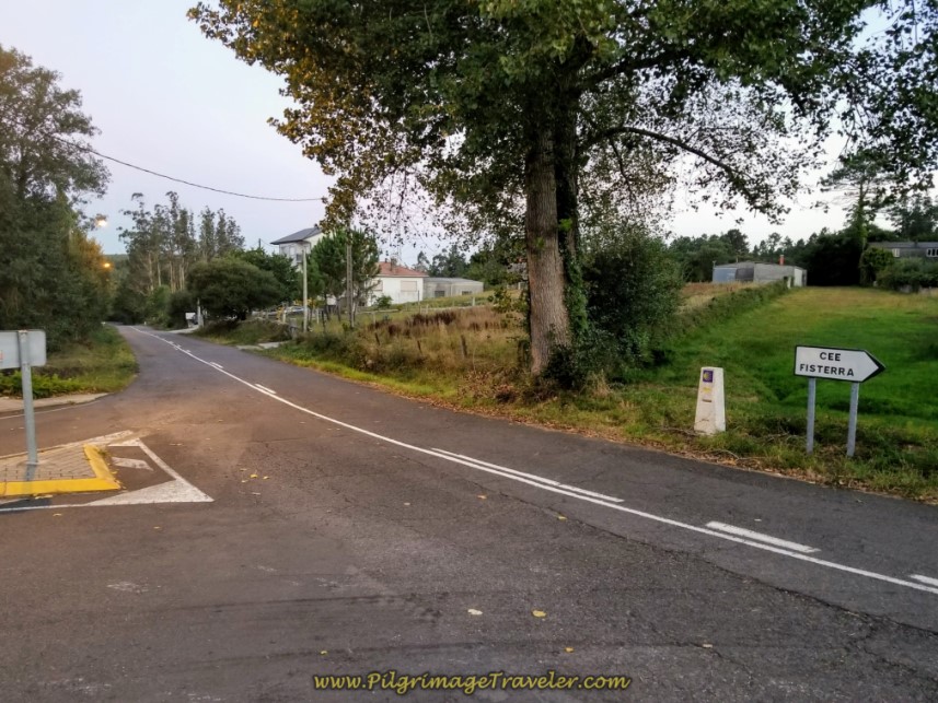 Turn Left at T-intersection